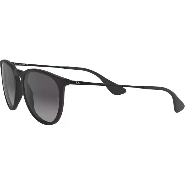 RayBan RB4171 Erika SunglassesBlack