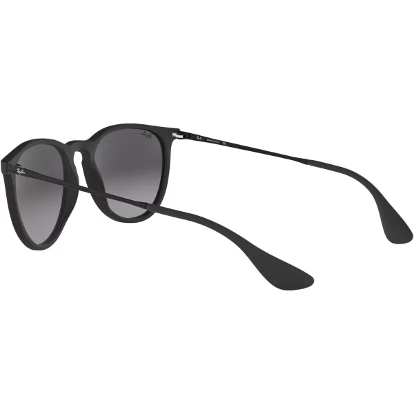 RayBan RB4171 Erika SunglassesBlack