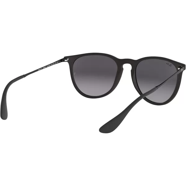 RayBan RB4171 Erika SunglassesBlack