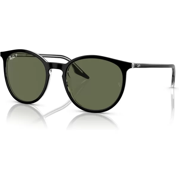 RayBan Rb2204 Round SunglassesBlack on TransparentGreen Polarized