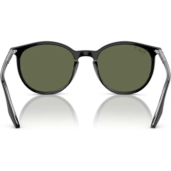 RayBan Rb2204 Round SunglassesBlack on TransparentGreen Polarized