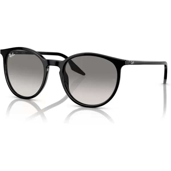 RayBan Rb2204 Round SunglassesBlackClear Gradient Grey