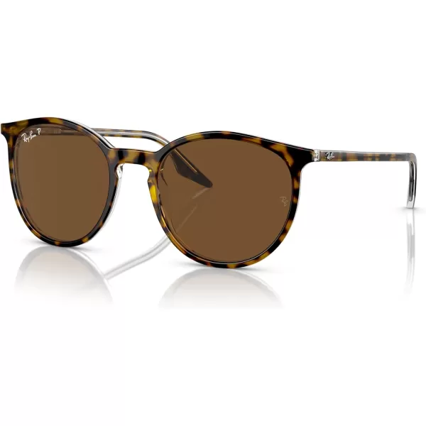 RayBan Rb2204 Round SunglassesHavana on TransparentBrown Polarized