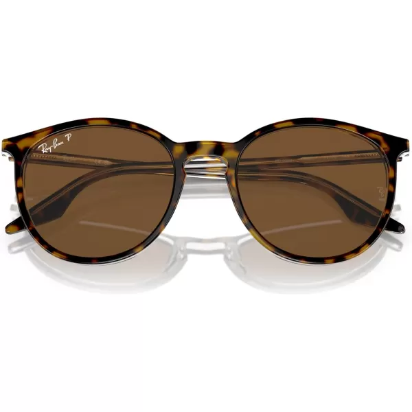 RayBan Rb2204 Round SunglassesHavana on TransparentBrown Polarized