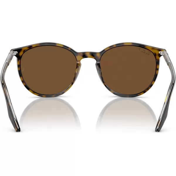 RayBan Rb2204 Round SunglassesHavana on TransparentBrown Polarized