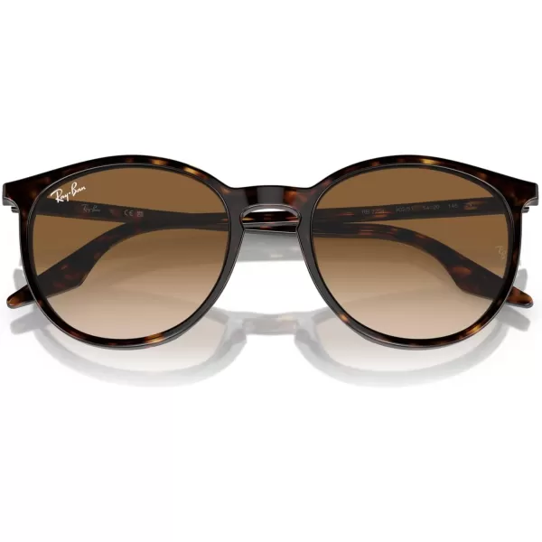 RayBan Rb2204 Round SunglassesHavanaClear Gradient Brown