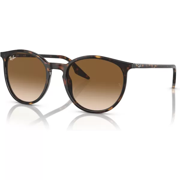 RayBan Rb2204 Round SunglassesHavanaClear Gradient Brown