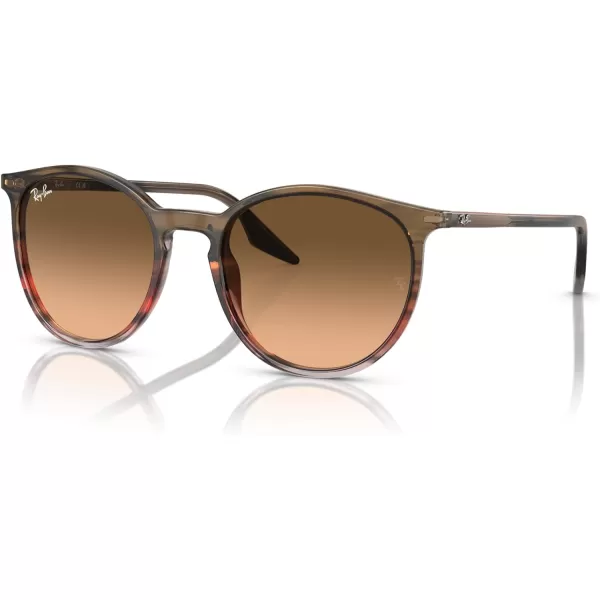 RayBan Rb2204 Round SunglassesStriped Brown Gradient RedPink Gradient Black