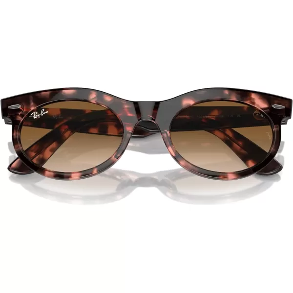 RayBan Rb2242 Wayfarer Oval SunglassesPink HavanaClear Gradient Brown