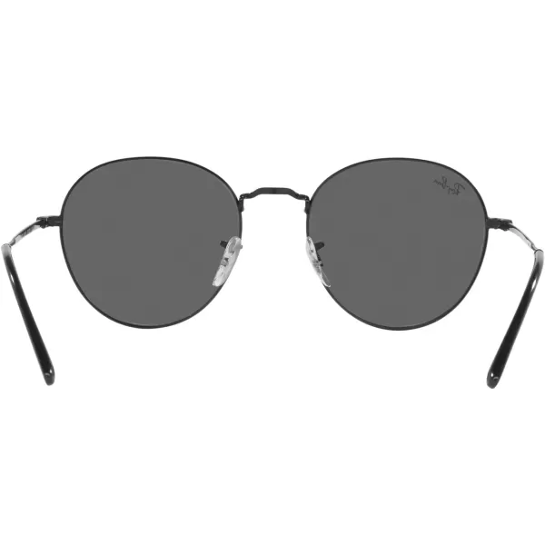 RayBan Rb3582 David Round SunglassesBlackDark Grey