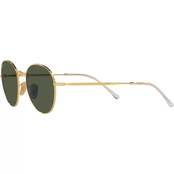 RayBan Rb3582 David Round SunglassesGoldGreen