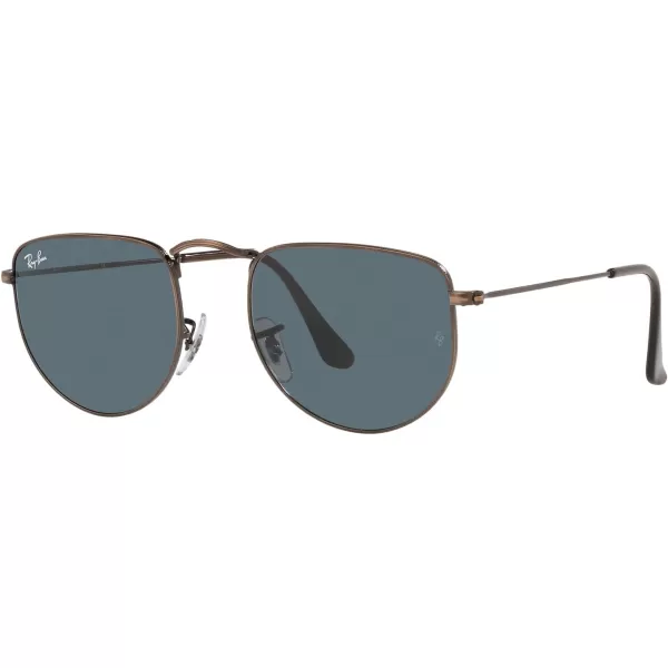 RayBan Rb3958 Elon Round SunglassesAntique CopperBlue