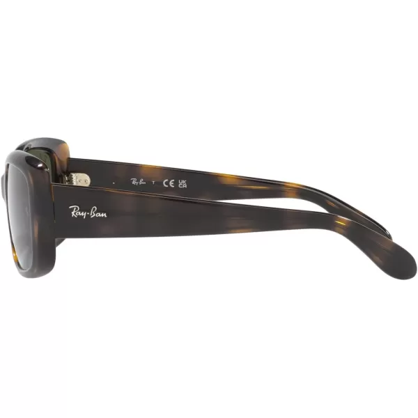 RayBan Womens RB4389 Square SunglassesHavanaGreen