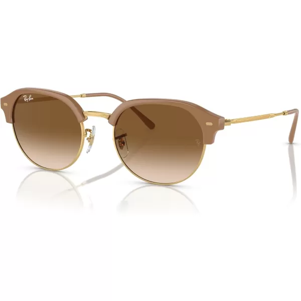 RayBan Womens Rb4429 Round SunglassesBeige on GoldClear Gradient Brown