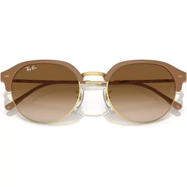 RayBan Womens Rb4429 Round SunglassesBeige on GoldClear Gradient Brown