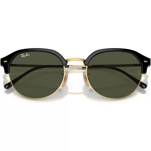 RayBan Womens Rb4429 Round SunglassesBlack on GoldGreen