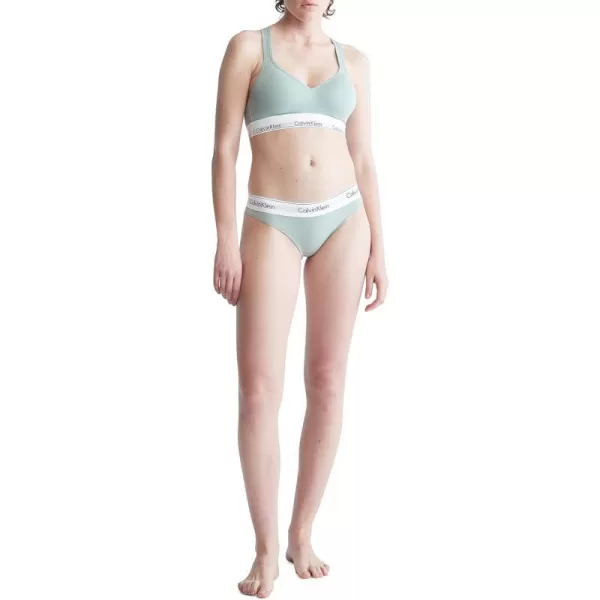 Calvin Klein Womens Modern Cotton Stretch Bikini PantySage Meadow