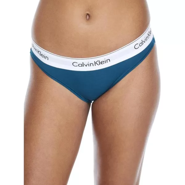 Calvin Klein Womens Modern Cotton Stretch Bikini PantyTopaz Gemstone