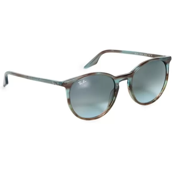 RayBan 0RB2204 Round SunglassesBlue