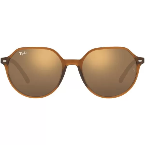 RayBan RB2195 Thalia Square SunglassesTransparent BrownLight Brown Mirrored Gold