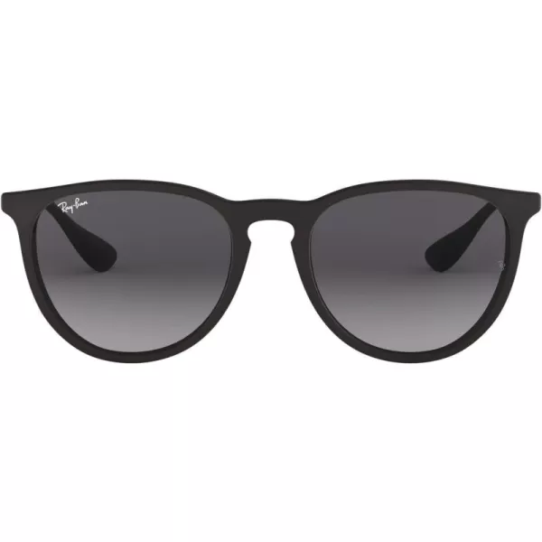 RayBan RB4171 Erika SunglassesBlack