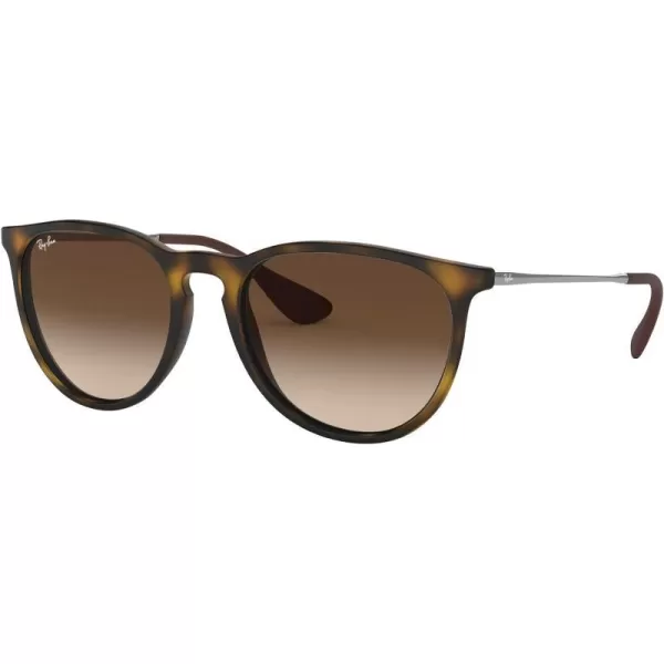 RayBan RB4171 Erika SunglassesTortoise