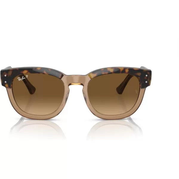 RayBan Rb0298s Mega Hawkeye Square SunglassesHavana on Transparent BrownBrown Gradient Polarized