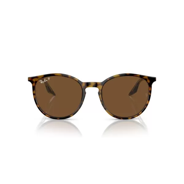 RayBan Rb2204 Round SunglassesHavana on TransparentBrown Polarized