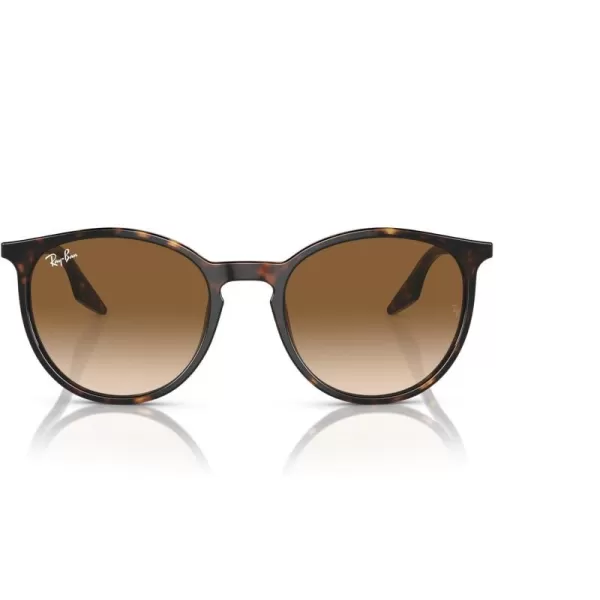 RayBan Rb2204 Round SunglassesHavanaClear Gradient Brown