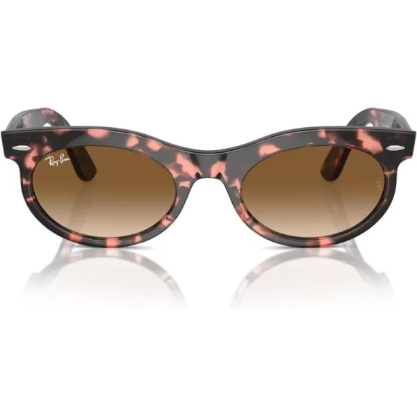 RayBan Rb2242 Wayfarer Oval SunglassesPink HavanaClear Gradient Brown