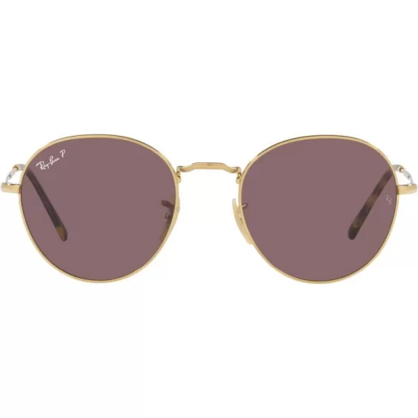 Gold/Dark Violet Polarized