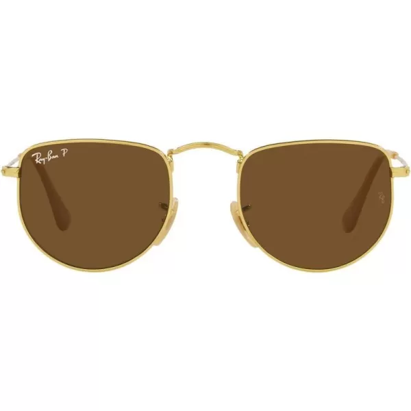 Legend Gold/Polarized Brown