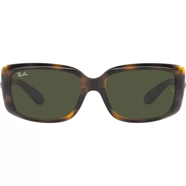 RayBan Womens RB4389 Square SunglassesHavanaGreen