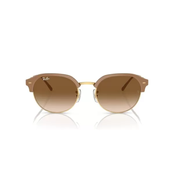 RayBan Womens Rb4429 Round SunglassesBeige on GoldClear Gradient Brown