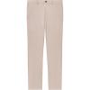 imageTheory Men Zaine SW ST Pant in Hanson Twill Earl Grey