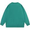 imageAelfric Eden Cartoon Dinosaur Sweaters Graphic Crewneck Printed Oversized Pullover Sweater Couple TopsA3green