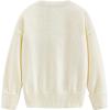 imageAelfric Eden Women Oversized Basic Sweaters Vintage Crewneck Long Sleeves Knit 2025 Pullover Sweater TopsApricot
