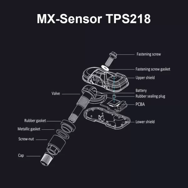 Autel TPMS Sensor MX-Sensor TPS218-315MHz+433MHz 2 in 1 Dual Frequency Replaced OEM Tire Pressure Sensor Universal Programmable Screw-in Sensor Sets of 2pcs 