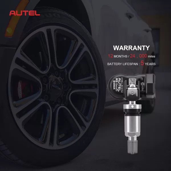 Autel TPMS Sensor MX-Sensor TPS218-315MHz+433MHz 2 in 1 Dual Frequency Replaced OEM Tire Pressure Sensor Universal Programmable Screw-in Sensor Sets of 2pcs 