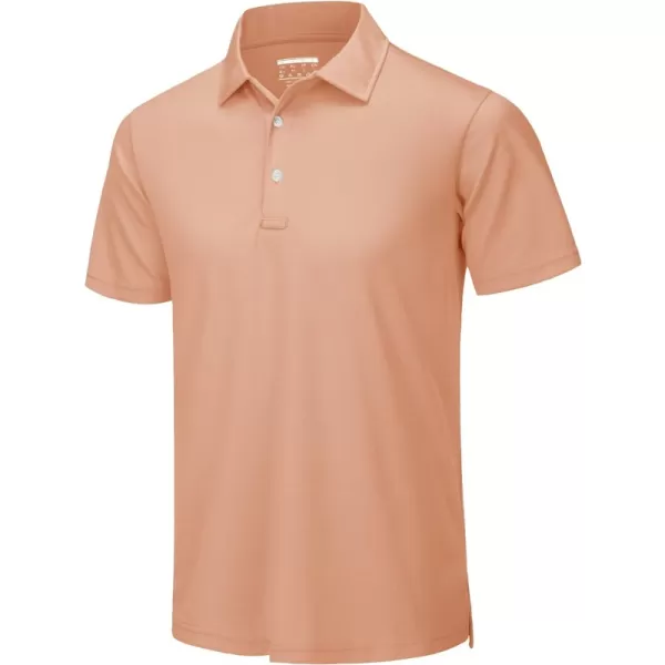Apricot