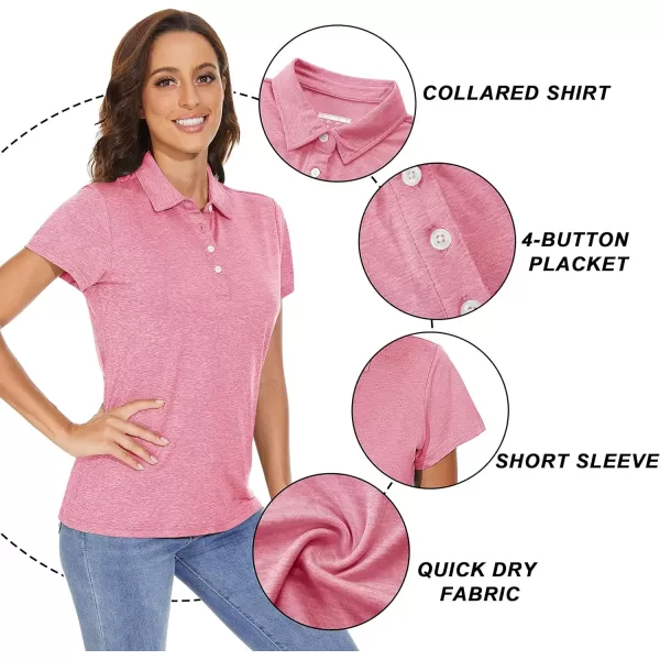 TACVASEN Women's Polo Shirts Short Sleeve T-Shirt Quick Dry Golf Shirt 4-Button Tops Sports Tennis Fitness Leisure