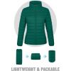 imageTACVASEN Womens Puffer Jacket Quilted Lightweight Stand Collar Zip Up Alternative Down Coat Warm Winter with 4 PocketsEmerald Green