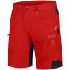 Tomato Red