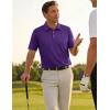 image:imageTACVASEN Mens Golf Shirt Dry Fit Mens Polo Shirts Short Sleeve Performance Golf Polos for Men with Collar Work Shirts14purple