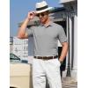 image:imageTACVASEN Mens Polo Shirts 2 Button Textured Knit Casual Short Sleeve Summer Vacation Shirts Lightweight Golf Polo T01 Light Grey