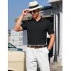 image:imageTACVASEN Mens Polo Shirts 2 Button Textured Knit Casual Short Sleeve Summer Vacation Shirts Lightweight Golf Polo TBlack