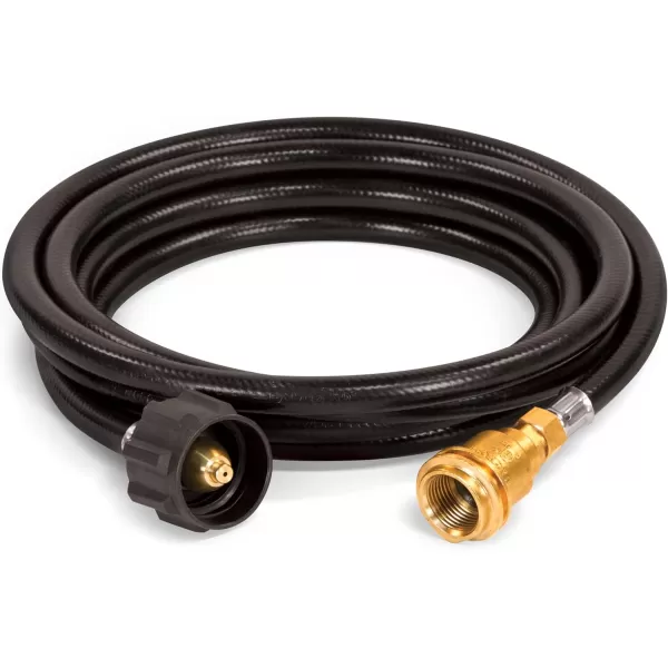 imageChampion Power Equipment 100736 12Foot Propane Hose Extension Kit