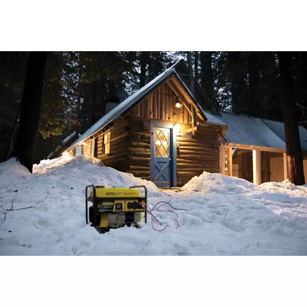 imageChampion Power Equipment 4375Watt Dual Fuel Portable Generator RV Ready43753500Watt  Gas  CO