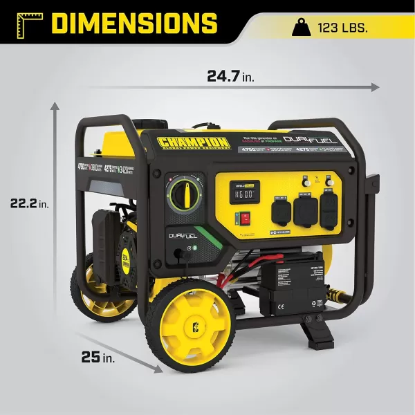 imageChampion Power Equipment 4375Watt Dual Fuel Portable Generator RV Ready47503800Watt  Dual Fuel  Electric Start