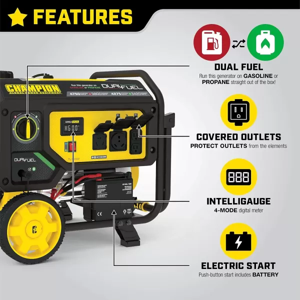 imageChampion Power Equipment 4375Watt Dual Fuel Portable Generator RV Ready47503800Watt  Dual Fuel  Electric Start